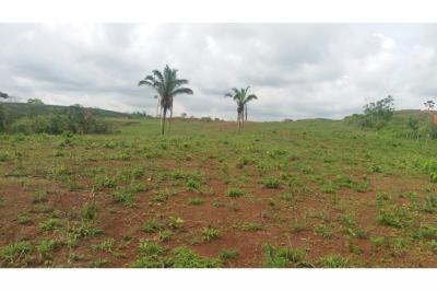 108292 - La Chorrera - lots