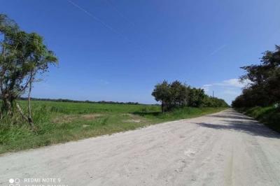 128124 - El chiru - properties