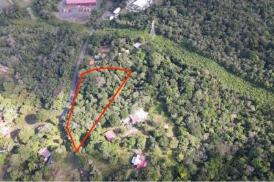 128925 - La Chorrera - lots