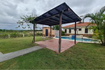 131215 - Nueva gorgona - casas