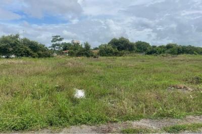 134393 - Coronado - lots