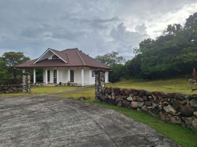 136995 - Boquete - houses