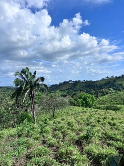 137015 - Veraguas - lots