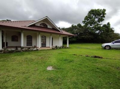 137077 - Boquete - casas