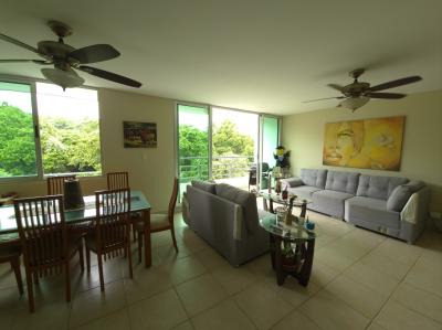 137153 - Ciudad de Panamá - apartamentos