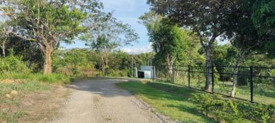 137279 - Boquete - properties