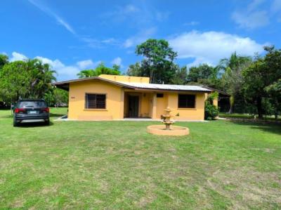 137323 - San carlos - houses