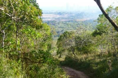 137364 - Tocumen - propiedades