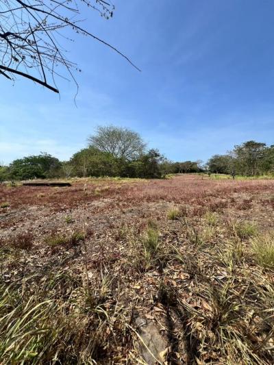 137505 - San carlos - lots