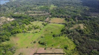 137630 - Colón - lots