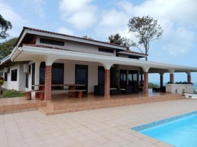 137725 - Portobelo - investments