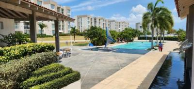 137729 - Punta barco - apartments