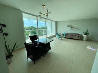 137785 - Clayton - apartments - clayton park