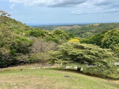 137843 - San carlos - lots