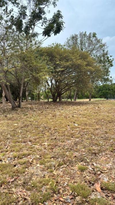 137894 - Coronado - lots