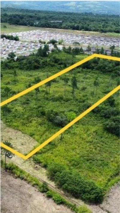 137950 - Boquete - apartments