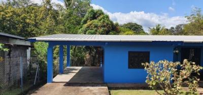 137990 - David - apartments