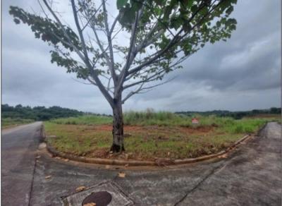 138066 - Pedregal - lots - green valley