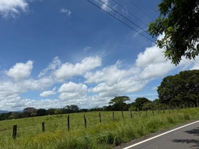 138079 - Chiriquí - properties