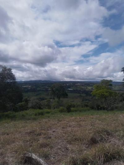 138084 - Chiriquí - properties