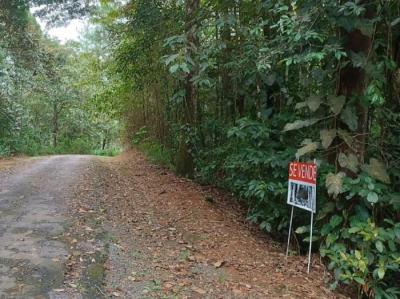 138087 - Cerro azul - properties