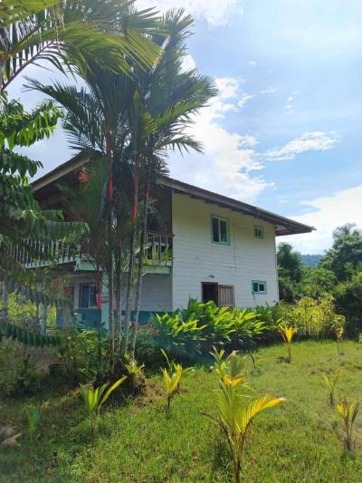 138097 - Bocas del Toro - casas