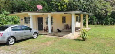 138127 - David - casas