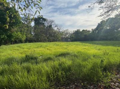 138177 - Veraguas - lotes