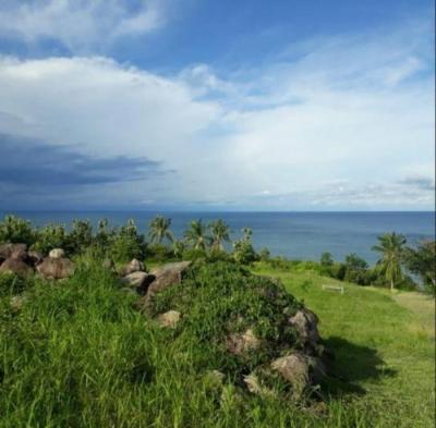 138191 - Puerto armuelles - properties