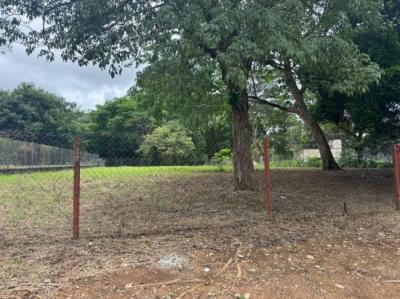 138192 - David - properties