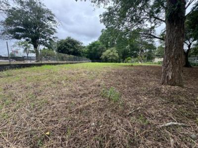 138194 - David - properties