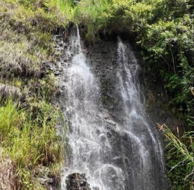 138205 - Chiriquí - properties