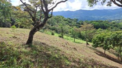 138420 - Santa Fe - propiedades