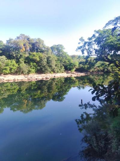 138423 - Veraguas - propiedades