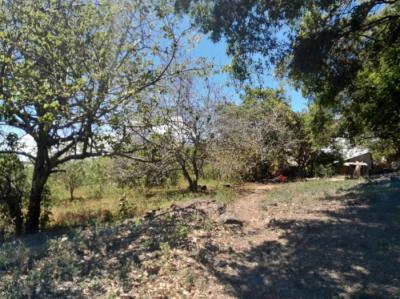 138454 - Palmira - boquete - apartamentos