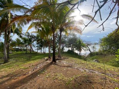 138477 - Santa catalina - lotes