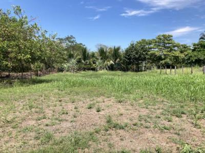 138486 - Las lajas - lots