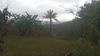 138504 - Cerro azul - lots