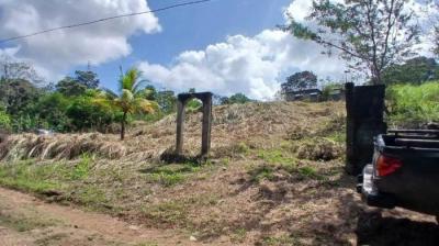 138512 - Chilibre - lots