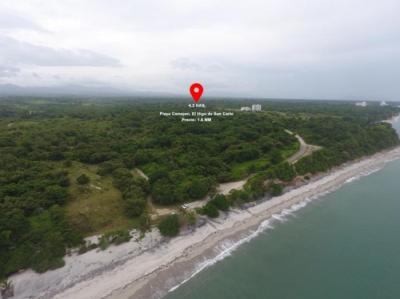 138550 - San carlos - properties