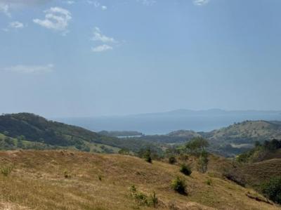 138556 - Veraguas - propiedades