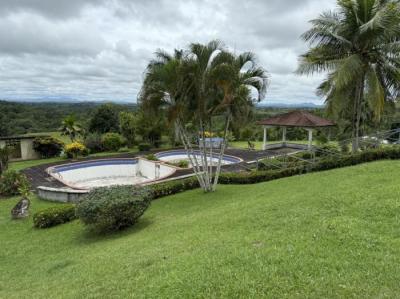 138563 - La Chorrera - propiedades