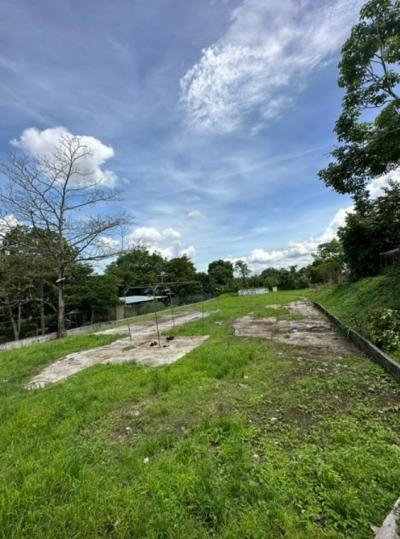 138569 - Tocumen - lots - altos de tocumen