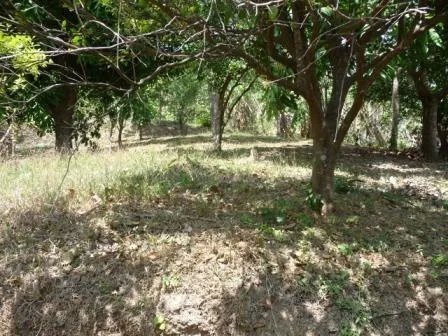 Se vende lote edificable en la montaña