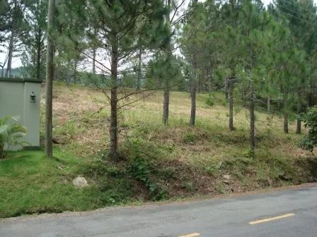 Lote hermoso en el area de valencia, altos del maria. precio reducido y negociable!