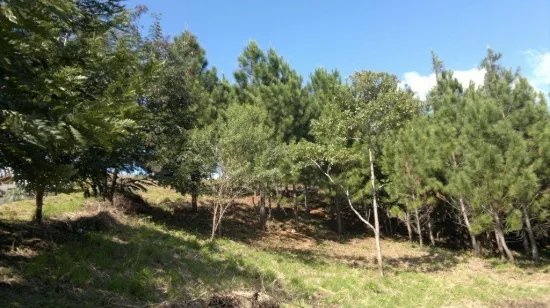 Lote con excelentes vistas