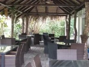 138863 - Volcan - investments
