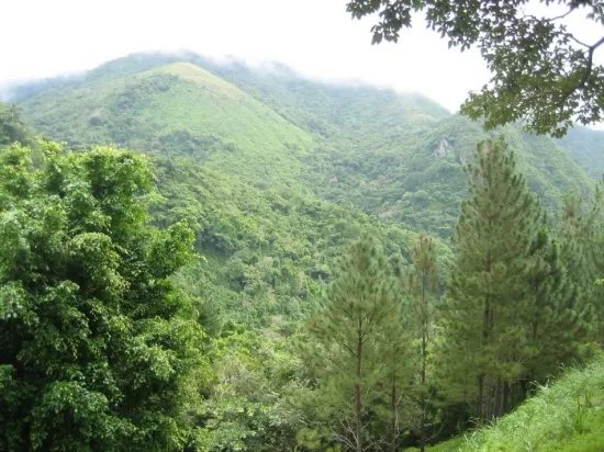 Lote con vista al valle y planos y permisos para la casa en altos del ...