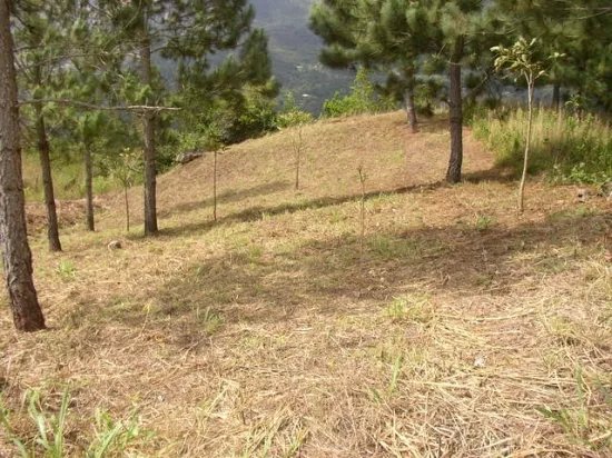 Terreno con una vista espectacular en el prestigioso altos del maria