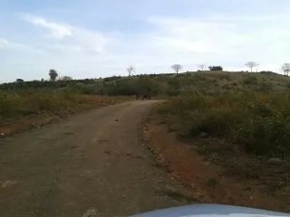 6313 mt2 titulados, vistas al mar, peninsula de azuero, las tablas